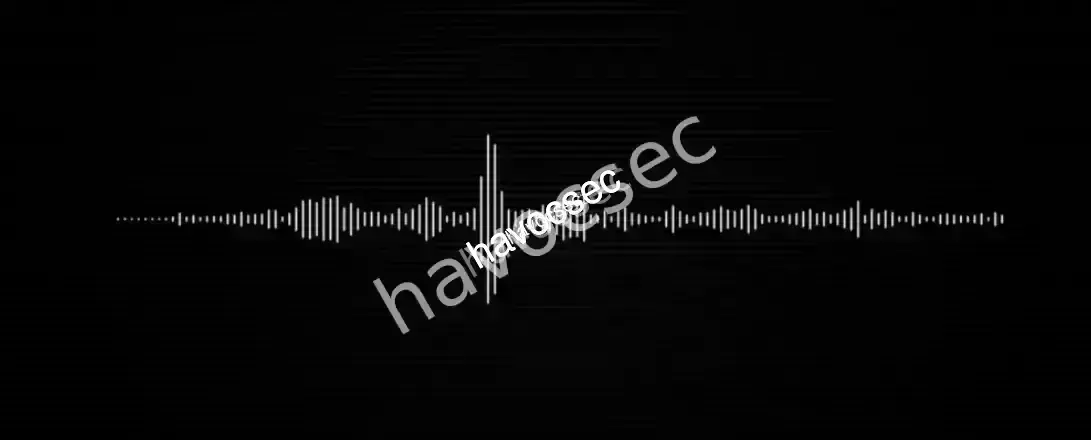 Lost in Translation-bellingcat osint challenge2