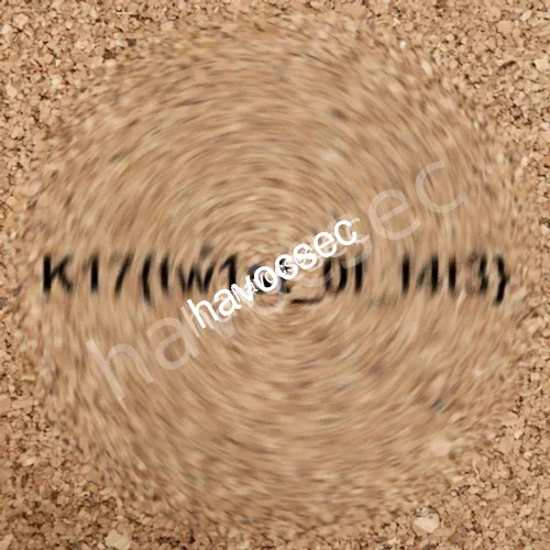 Challenge Screenshot